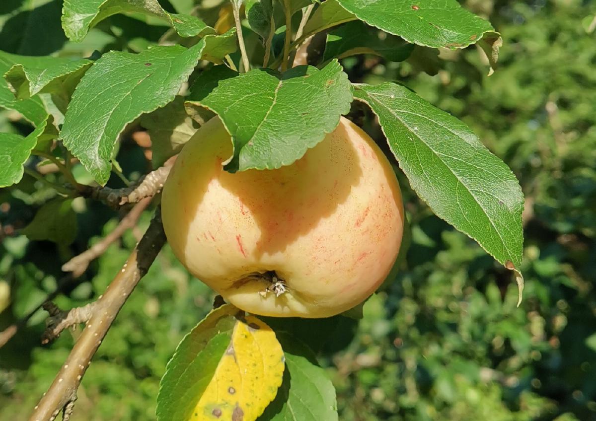 blog-image